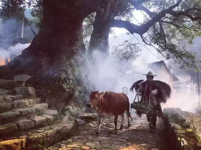 召唤神龙万宁版祖龙