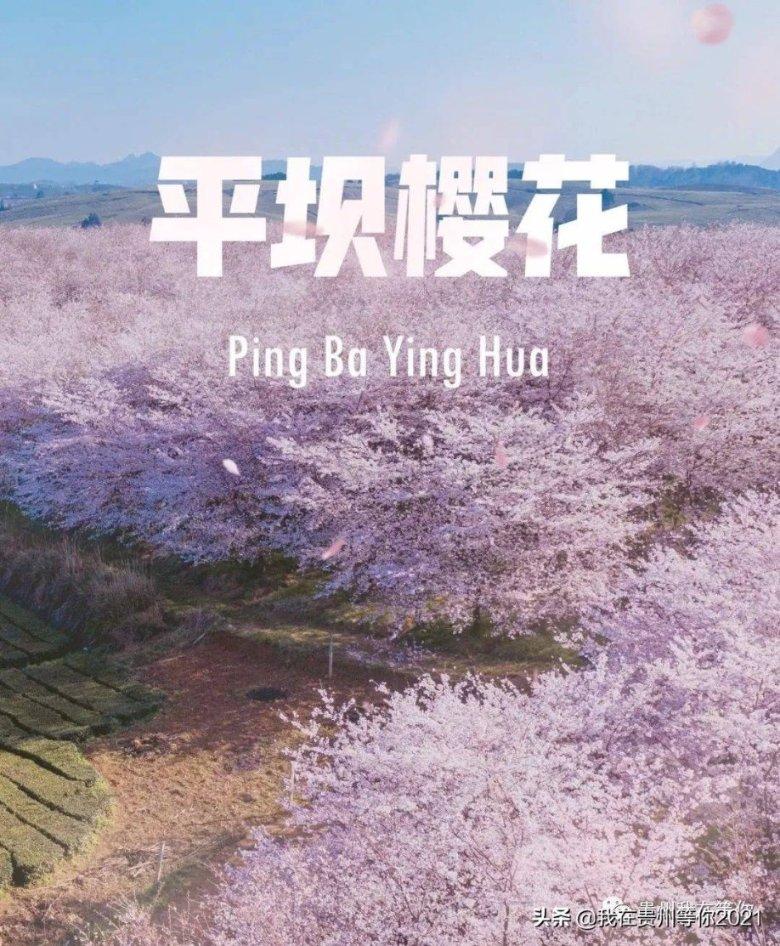 宁夏银川：让群众就近享有高质量医疗服务